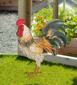 19" Bluff Rooster MED Decor 3