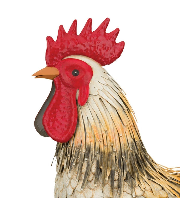 21.25" Bluff Rooster LG Decor 2