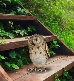 9" Long Eared Owl Decor 3