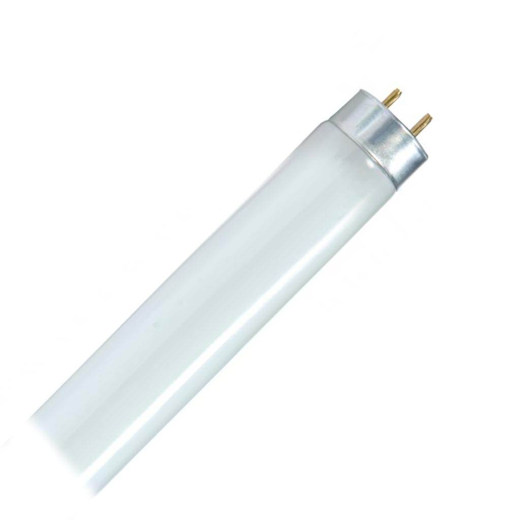 32 watt 48" T8 Medium Bi-Pin Base 5000K Daylight Shatterproof 1
