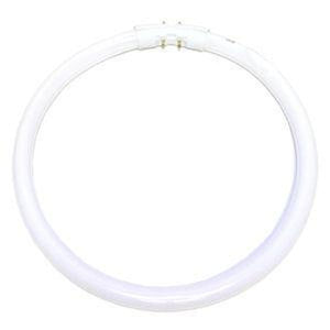 22 watt 9" T5 4-Pin Base 3000K Natural White Fluorescent 1