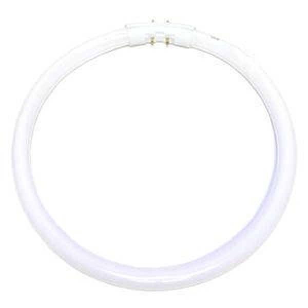 22 watt 9" T5 4-Pin Base 3000K Natural White Fluorescent 1