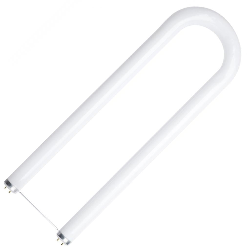 40 watt T12 Medium Bi-Pin Base 6500K White Daylight Frosted U-Bend Fluorescent 1