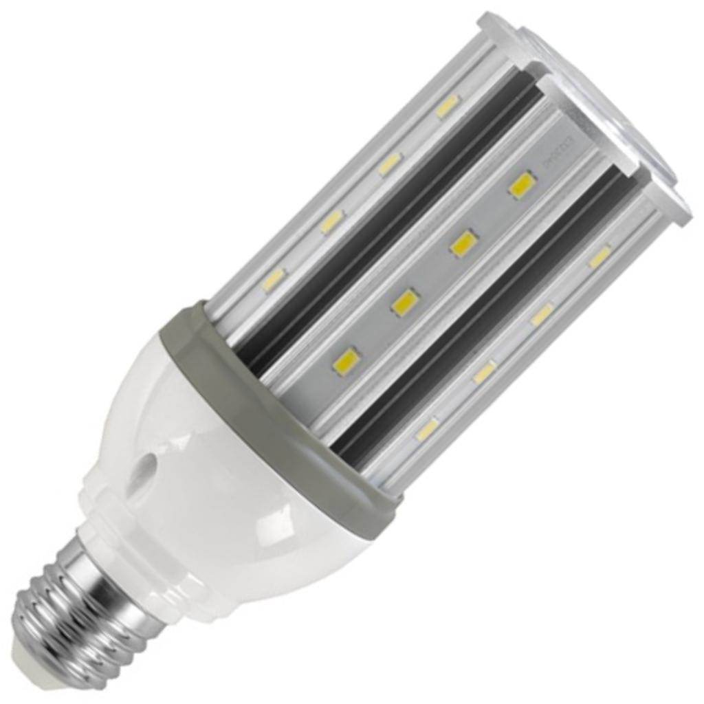 10 watt 12/24 volt Corn Cob Medium Screw Base 5000K Daylight Non-Dimmable LED 1