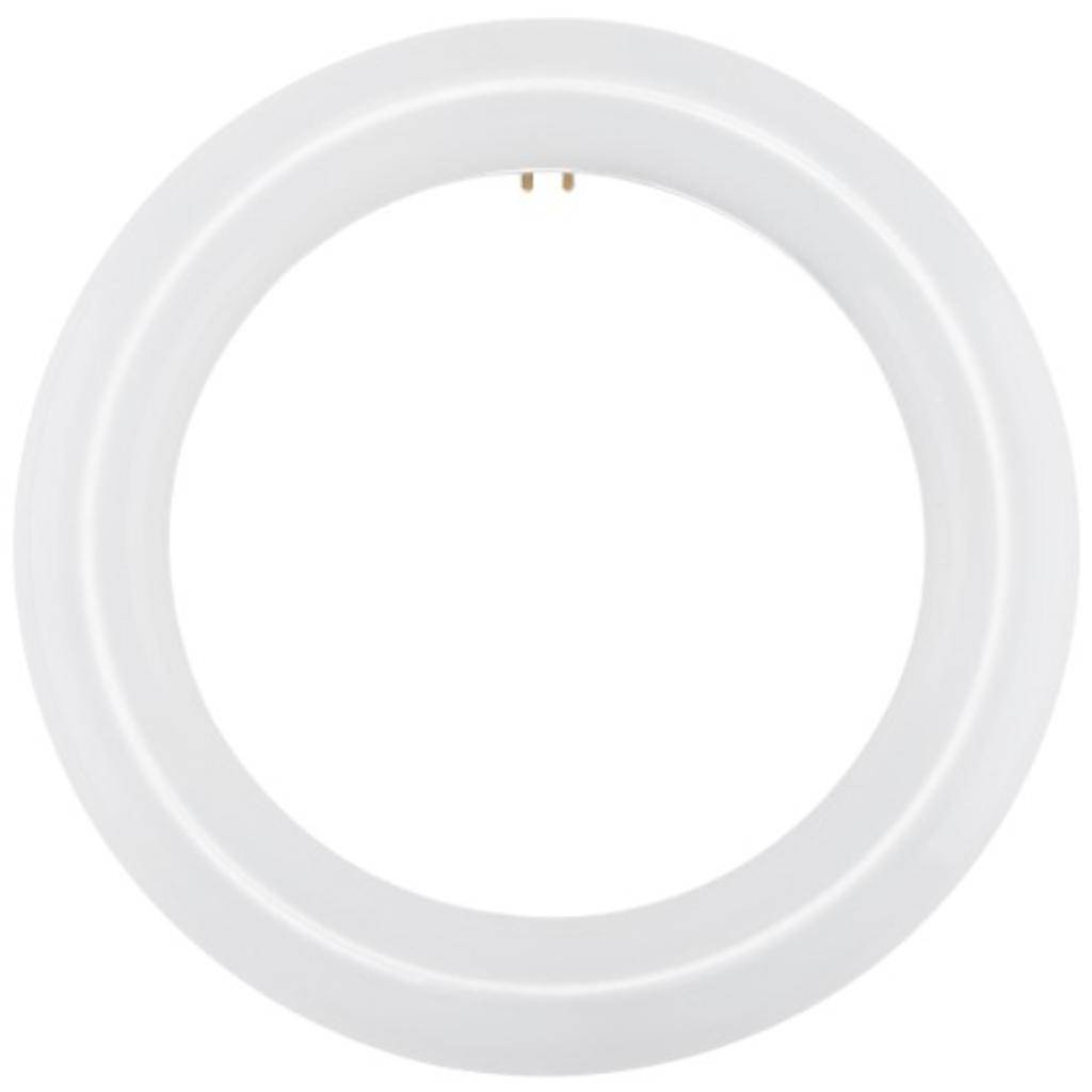 16 watt 120/277 volt 12" T9 4-Pin Base 3000K Non-Dimmable LED 1