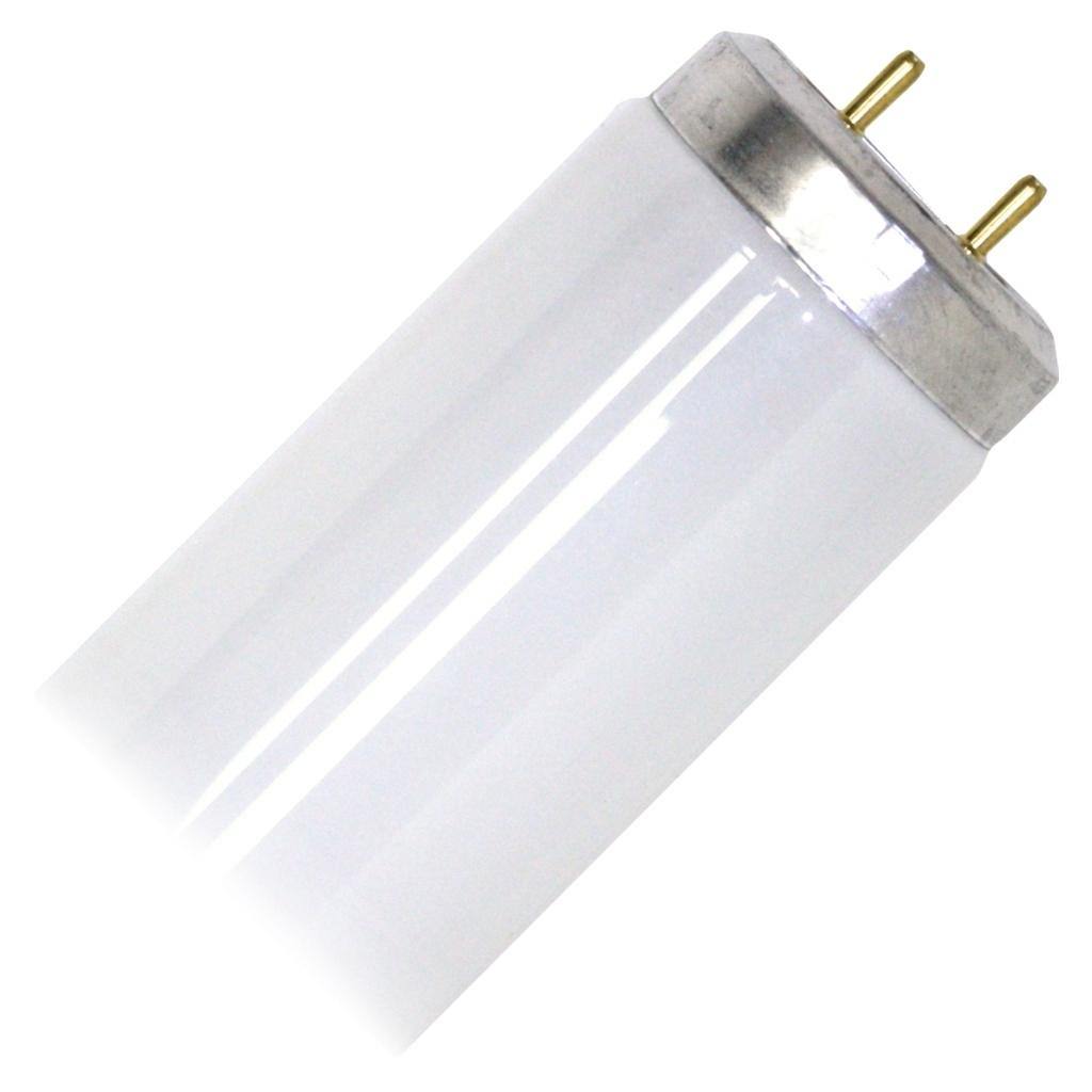 20 watt 24" T12 Medium Bi-Pin Base 6500K Daylight 1