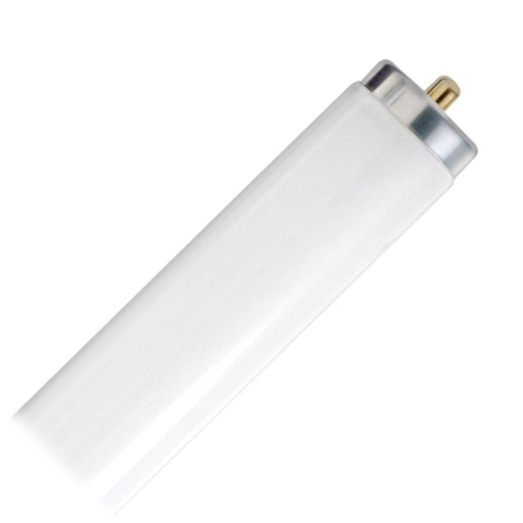 50 watt 60" T12 Single Pin Base 4200K Cool White 1