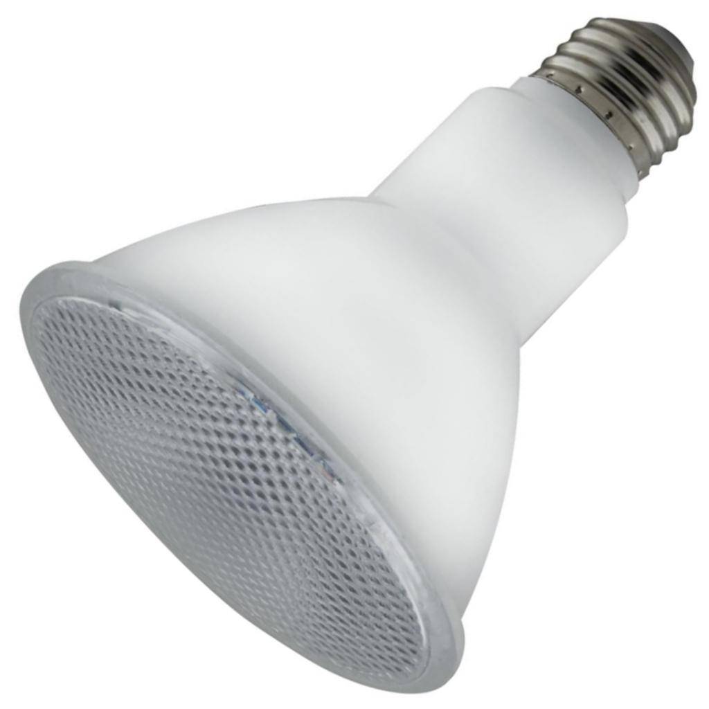 8 watt 120 volt PAR30 Medium Screw Base Non-Dimmable LED 1