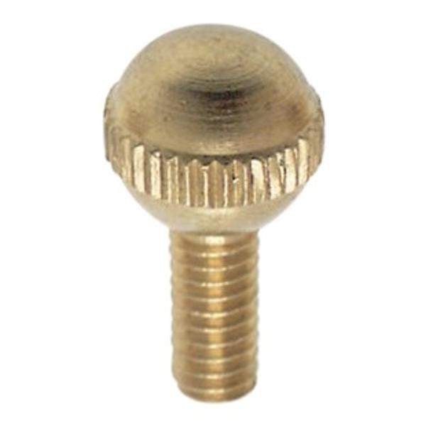 .4" 8/32 Solid Brass Burnished and Lacquered Ball Head Thumb Screws 1