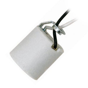 Unglazed Porcelain Keyless Socket with Hickey 1