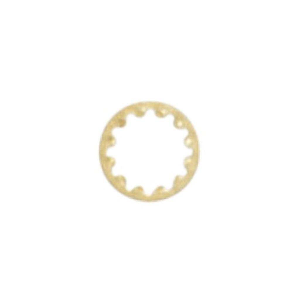 1/4 IP Brass Plated Toothwasher 1