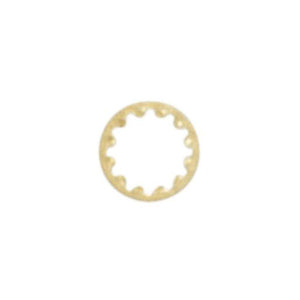 1/4 IP Brass Plated Toothwasher 1