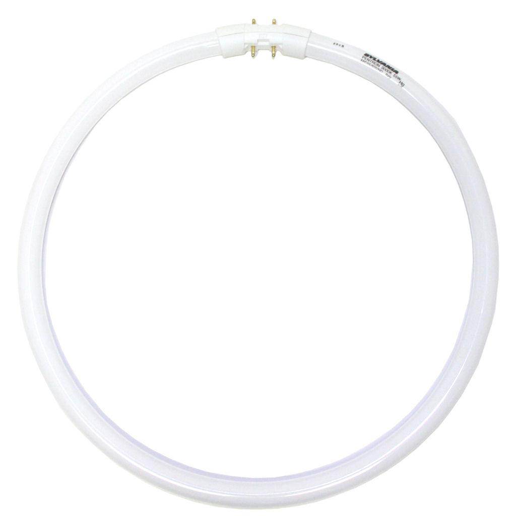 55 watt 12" T5 4-Pin Base 3000K Natural White Fluorescent 1