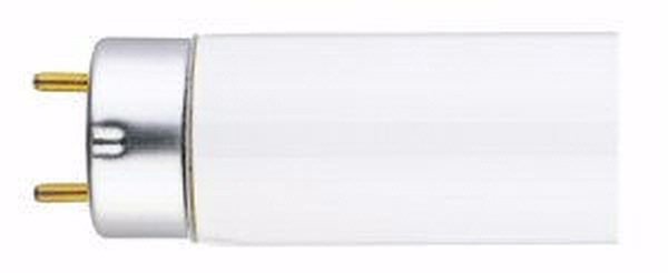 40 watt 60" T8 Bi-Pin Base 3000K Natural White Fluorescent 3