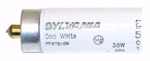 38 watt 72" T8 Single Pin Base 4200K Cool White 3