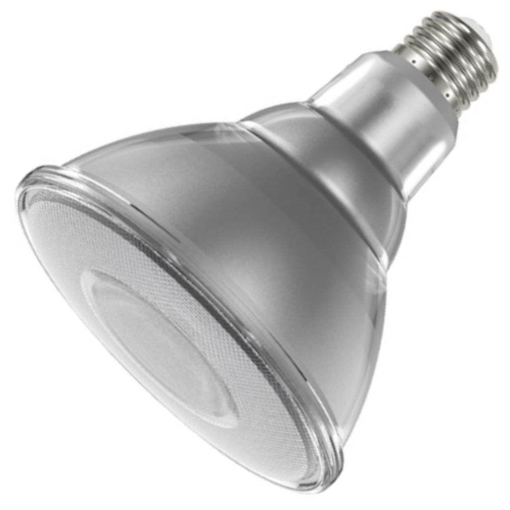 13 watt 120 volt PAR38 Medium Screw Base 5000K Dimmable Flood LED 1