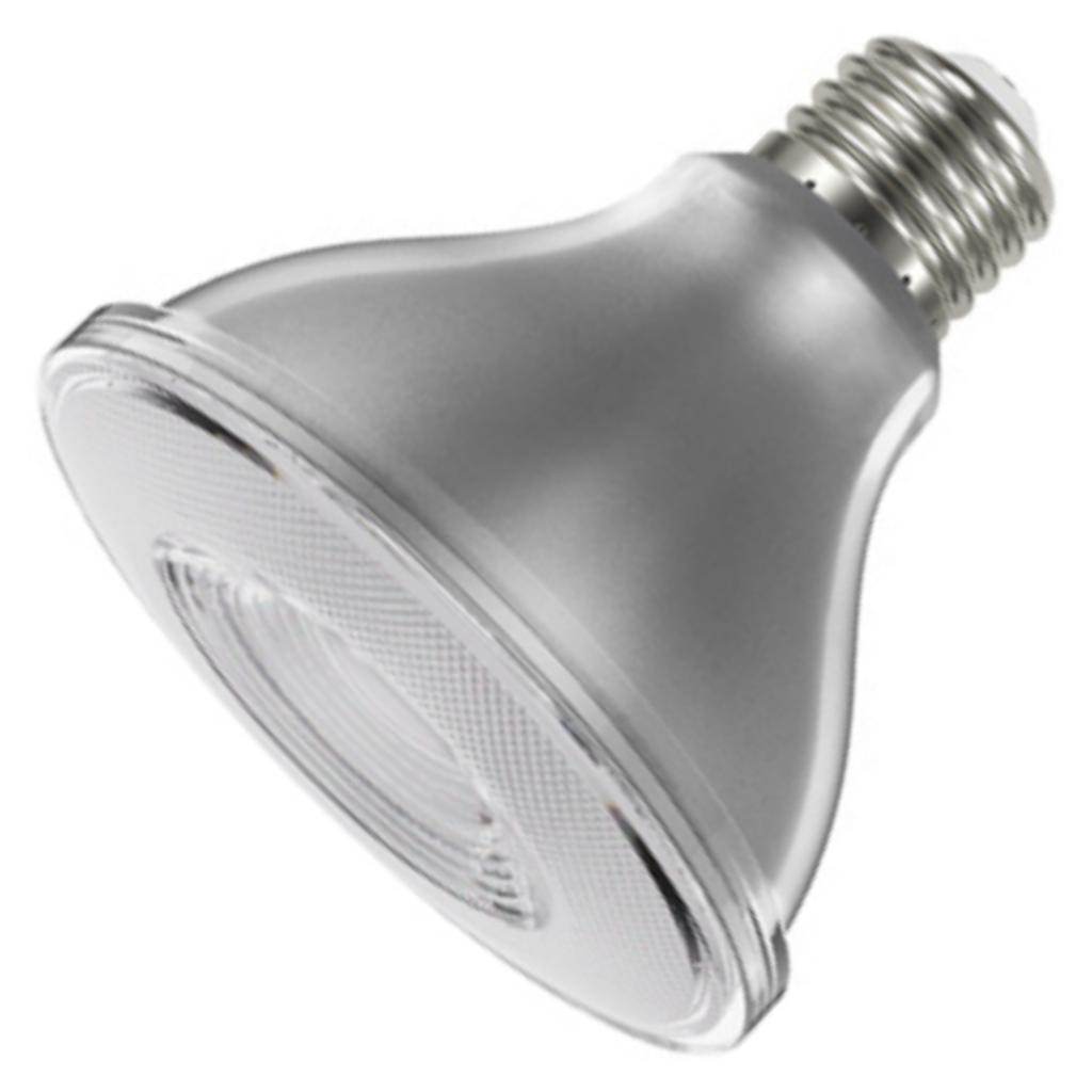 10 watt 120 volt PAR30 Medium Screw Base 5000K Daylight Dimmable Flood LED 1