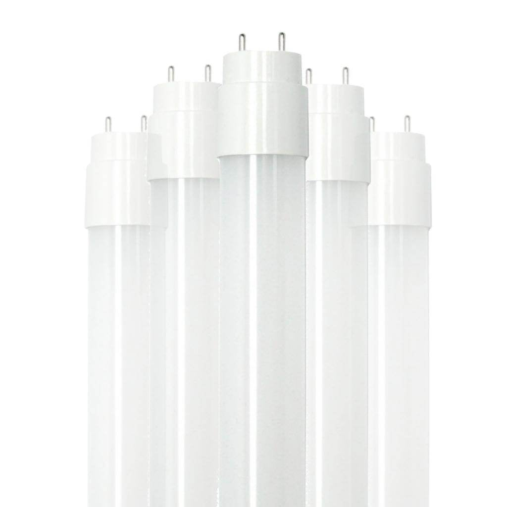 12 watt 120/277 volt T8 Medium Bi-Pin Base 5000K Daylight LED Light Bulb (25 Pack) 1