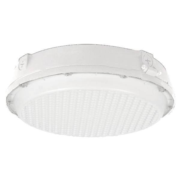 25 watt 120/277 volt 5000K Daylight Dimmable LED Canopy 1