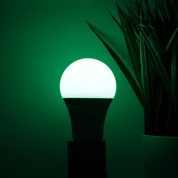 9 watt 120 volt A19 Medium Screw Base Full Color LED Light Bulb (4 Pack) 6