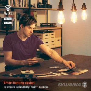 4.5 watt 120 volt ST19 Medium Screw Base Warm White Amber Glass Smart Wifi LED Light Bulb 5