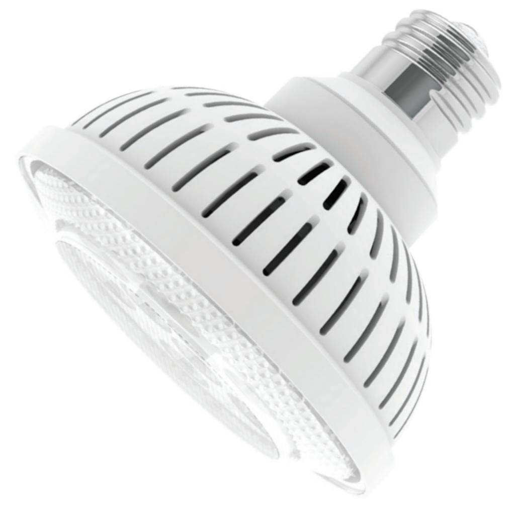 13 watt 120 volt PAR30 Medium Screw Base 3000K Natural White Dimmable LED 1