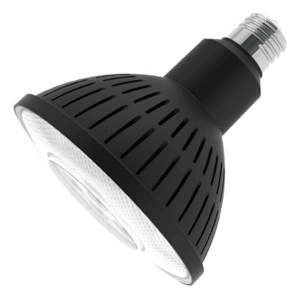 21 watt 120 volt PAR38 Medium Screw Base 2700K Warm White Dimmable LED 1