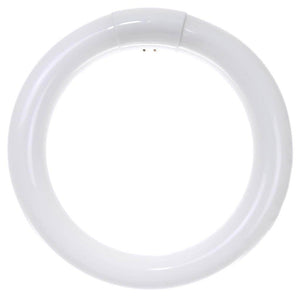 22 watt T9 Circline 4-Pin Base 3000K Fluorescent 1