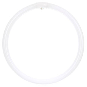40 watt 16" T9 4-Pin Base 6500K Daylight 1