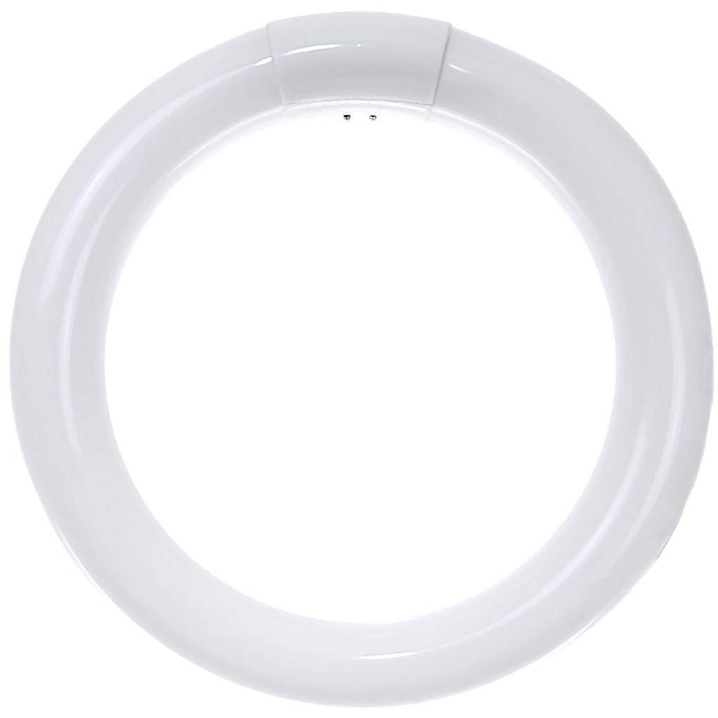 22 watt T9 Circline 4-Pin Base 4100K Cool White 1