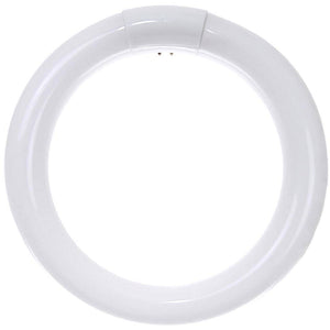 22 watt T9 Circline 4-Pin Base 4100K Cool White 1