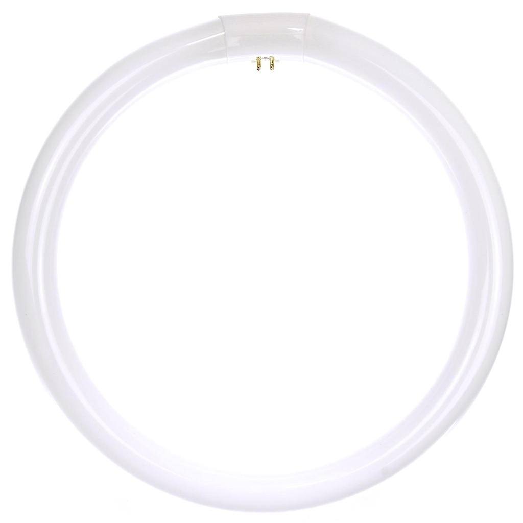 32 watt T9 Circline 4-Pin Base 4100K Cool White 1