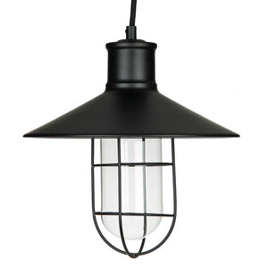 1 Light (Medium Screw Base) 10" Canopy Black Cage Pendant Light Fixture with Clear Glass 1