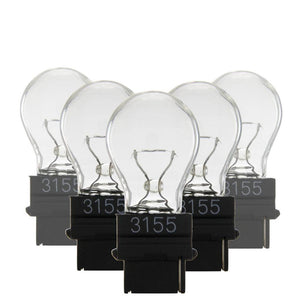 12.8 volt S8 Plastic Wedge Base 2800K Warm White Incandescent Miniature / Automotive Light Bulb (10 Pack) 1