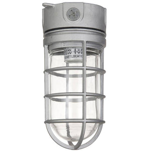 100 watt 120 volt A19 Metallic Vaporproof Fixture 1