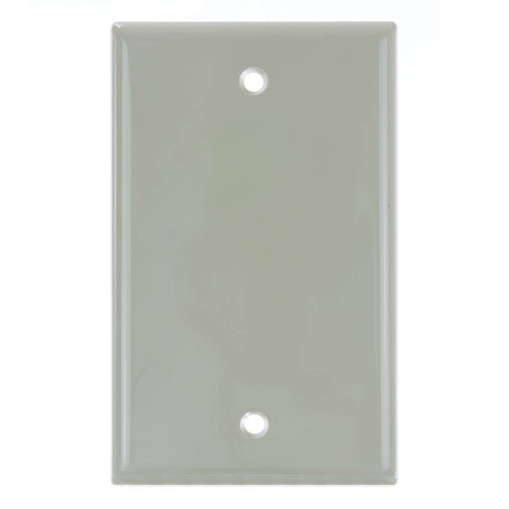 1 Gang Ivory Blank Wallplate 1