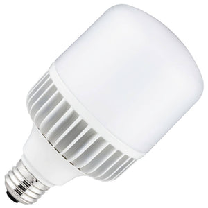 20 watt 120/277 volt T32 Medium Screw Base 5000K Daylight LED Light Bulb 1