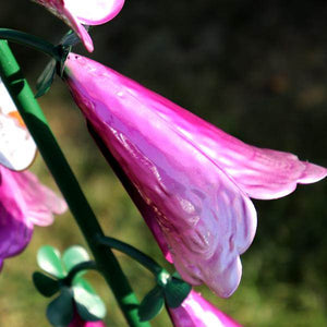 Trumpet Flower Sunset Vista Designs Stake 3