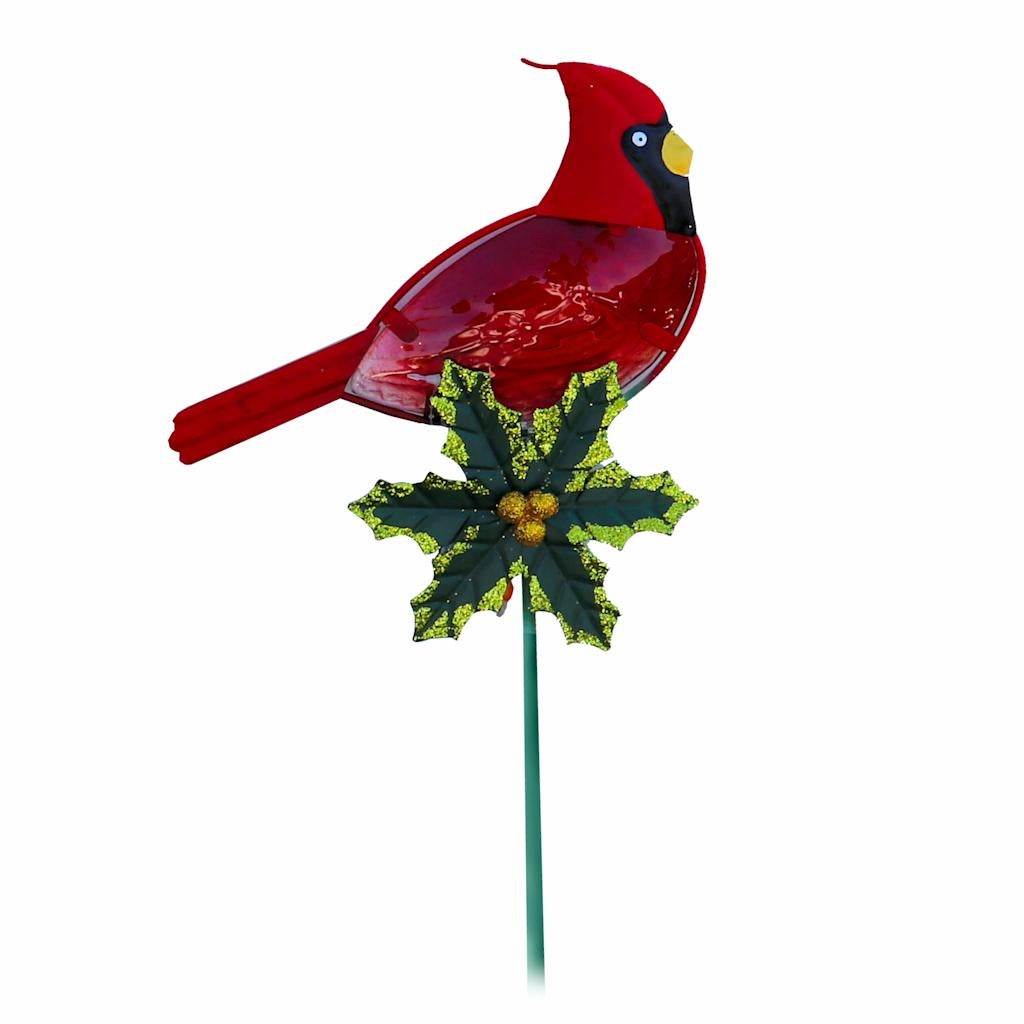 Red Cardinal Sunset Vista Designs Pick 1