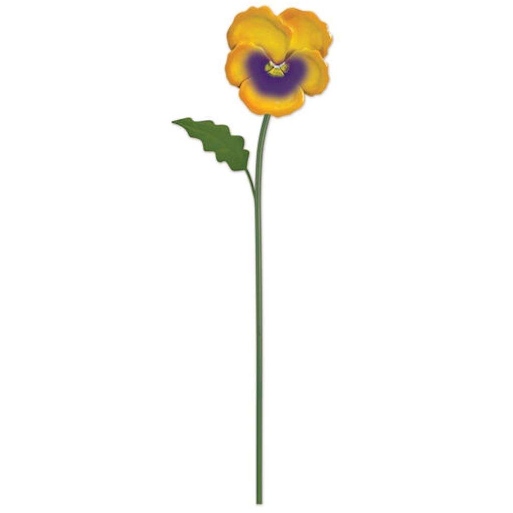 Pansy Sunset Vista Designs Pick 1