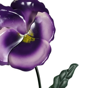 Purple Pansy Sunset Vista Designs Pick 2