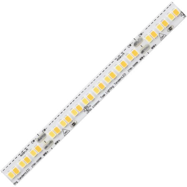 100' 24 volt 2,700K-5,000K CCT Selectable Waterproof Coated Tape Light 2