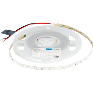 16' 24 volt Cool White Accent Waterproof Coated Tape Light 1