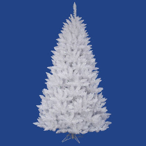 5.5' x 40" Sparkle White Spruce 1