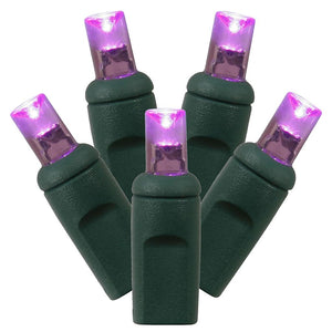 50 Light 25' Green Wire Purple Wide Angle LED Miniature String with 6" Spacing 1