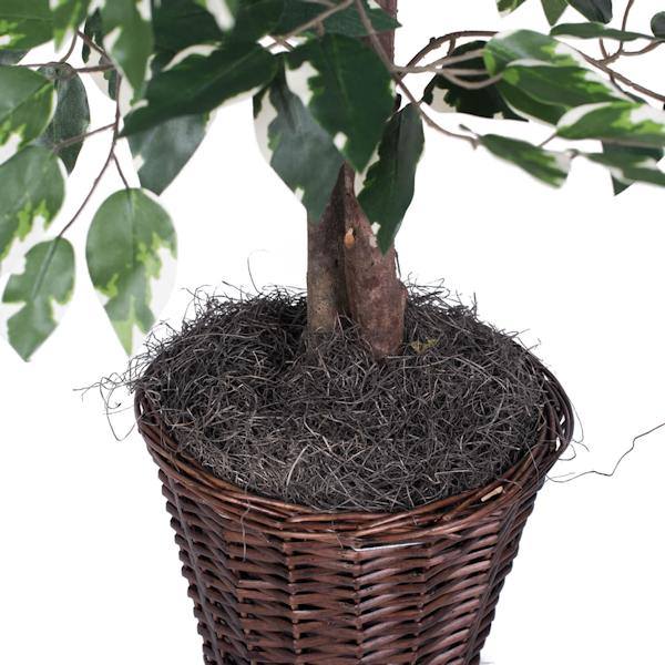 4' Artificial Variegated Ficus Bush 3