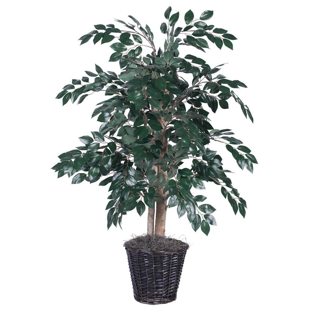 4' Artificial Sakaki Bush 1