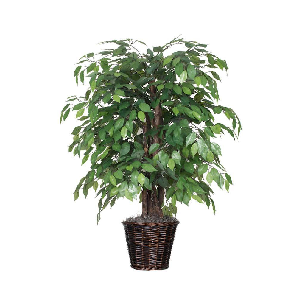48" Artificial Ficus Extra Full in Dark Brown Rattan Conatiner 1