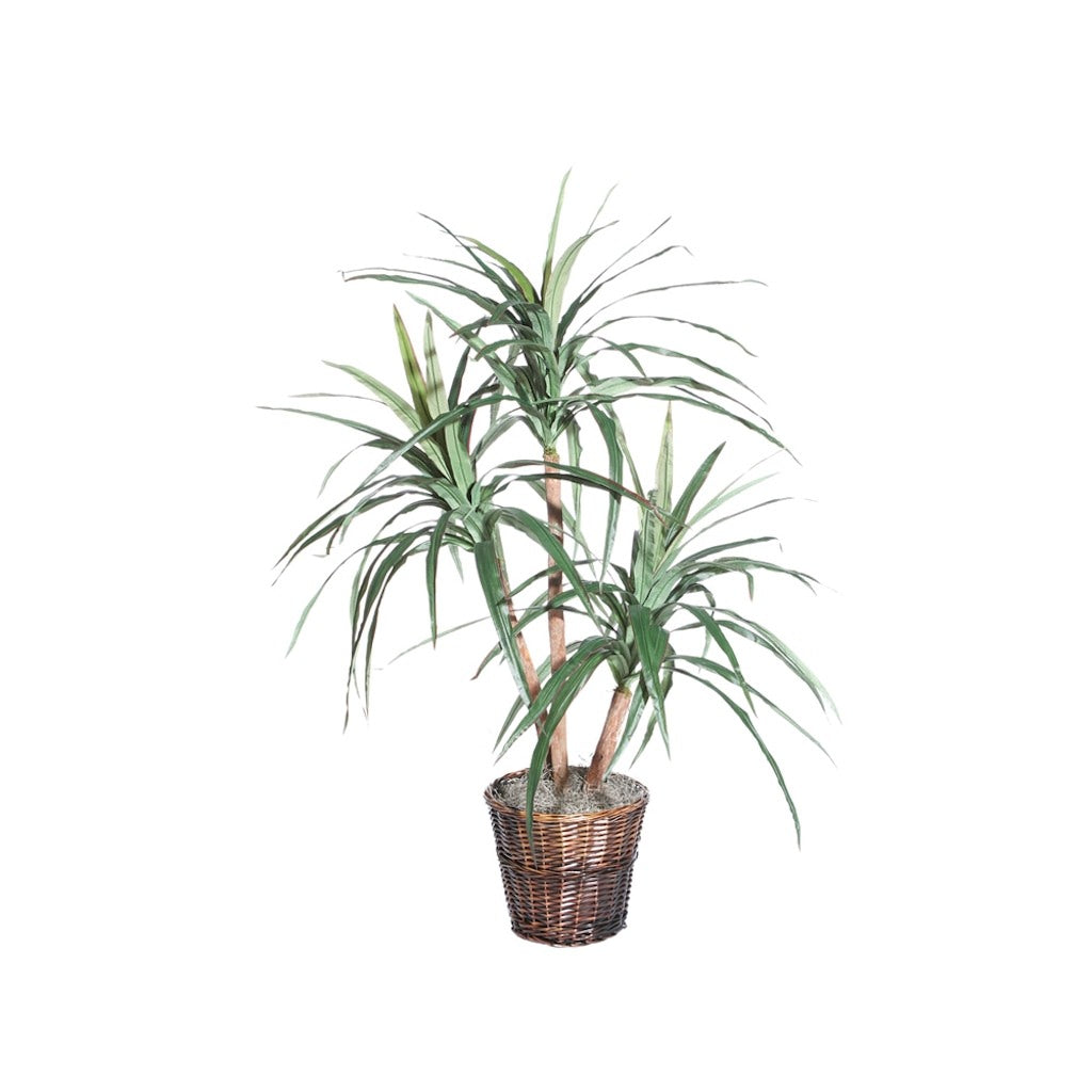4' Artificial Marginata Extra Full Bush 1