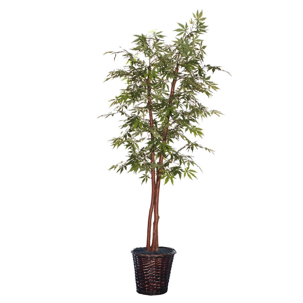 6' Artificial Japanese Maple Deluxe Tree 1